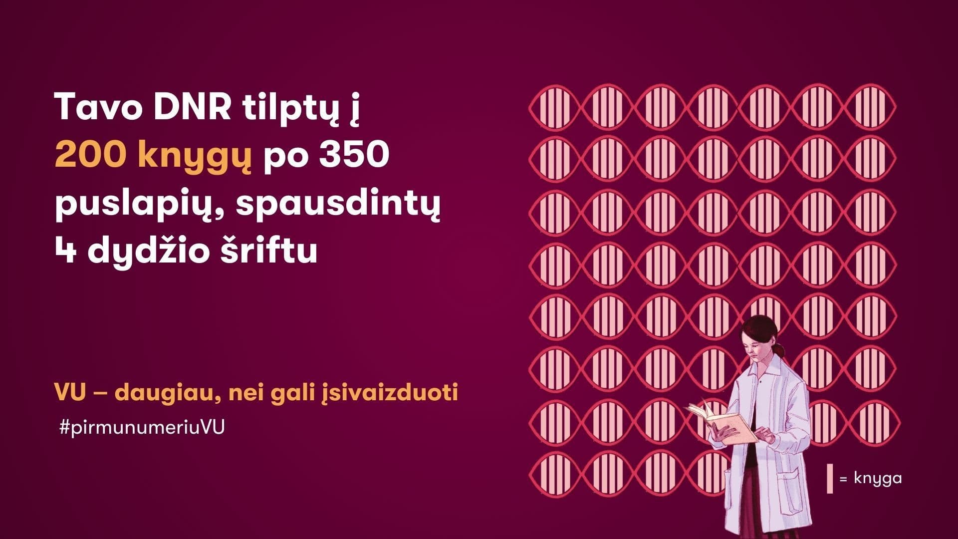 Ūlos Šveikauskaitės infografikas apie DNR talpą